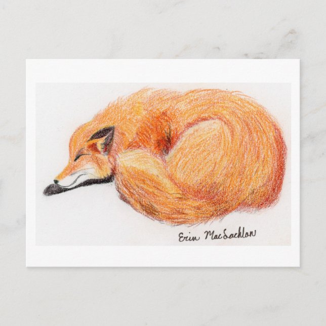 Tarjeta postal Fox de Sleeping (Anverso)