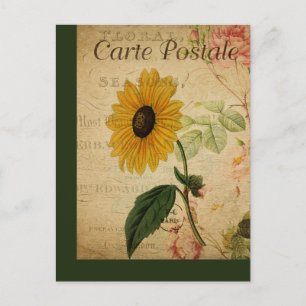Tarjeta Postal Francesa Botánica Vintage Girasol