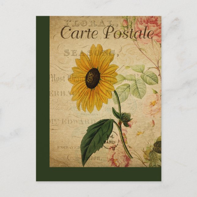 Tarjeta Postal Francesa Botánica Vintage Girasol (Anverso)