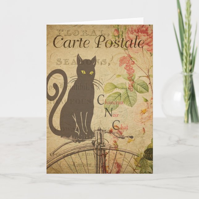 Tarjeta postal francesa de época negra para gatos (Anverso)