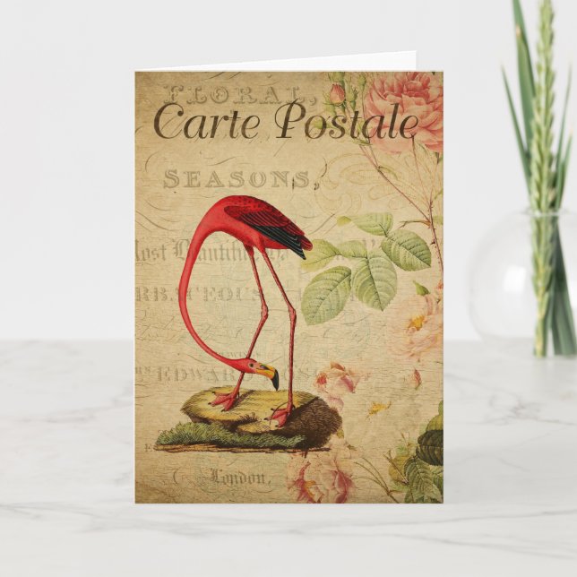 Tarjeta postal francesa Flamingo Vintage (Anverso)
