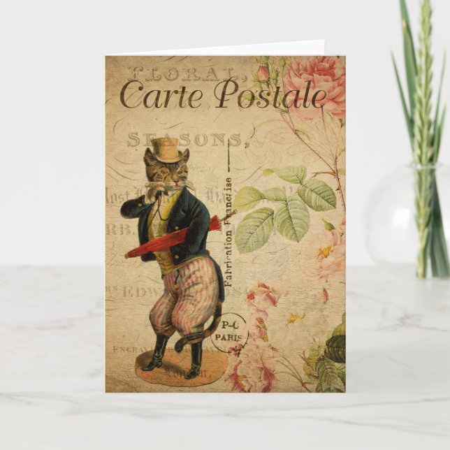 Tarjeta postal francesa para gatos caballeros (Anverso)