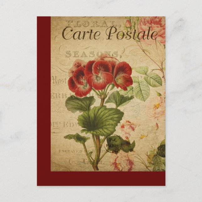 Tarjeta postal francesa vintage Pelargonium (Anverso)