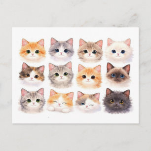 Tarjeta postal. Gatitos divertidos