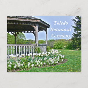 TARJETA POSTAL, "GAZEBO Y TULIPS BLANCOS"/TOLEDO B