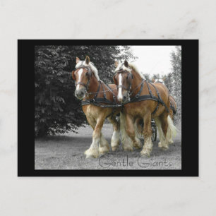 Tarjeta postal Gentle Giants