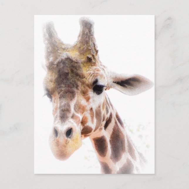 Tarjeta postal Giraffe (Anverso)