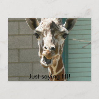 Tarjeta postal Giraffe