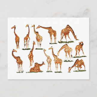 TARJETA POSTAL "GIRAFFE"