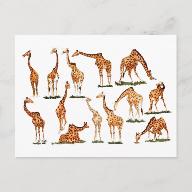 TARJETA POSTAL "GIRAFFE" (Anverso)