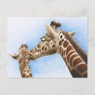 Tarjeta postal Giraffe and Calf