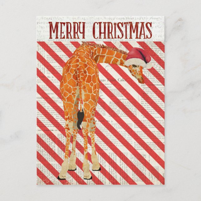 Tarjeta postal Giraffe Candy Cane (Anverso)