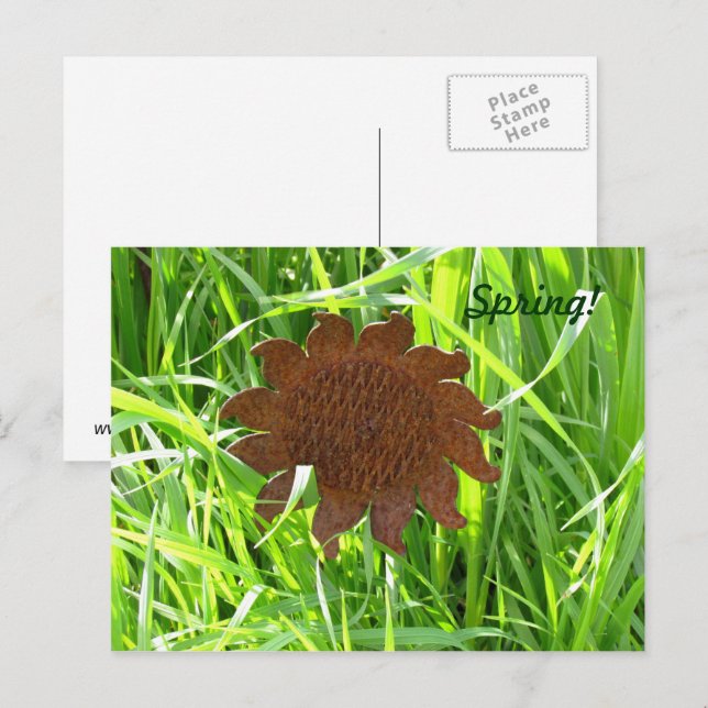 Tarjeta postal - Girasol de hierro en hierba (Anverso / Reverso)