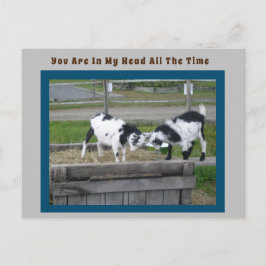 Tarjeta postal Goat Sense