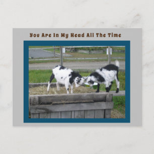 Tarjeta postal Goat Sense