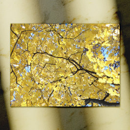 Tarjeta postal Golden Canopy