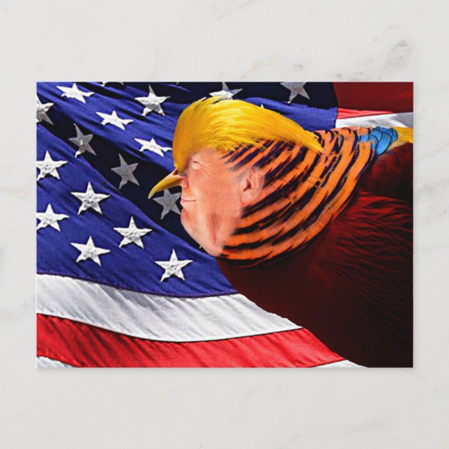 Tarjeta postal Golden Trump Bird USA (Anverso)