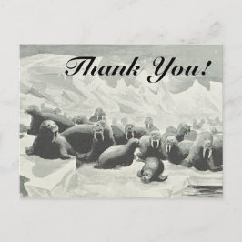 Tarjeta postal "¡Gracias!" de Manada de Walrus