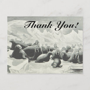 Tarjeta postal "¡Gracias!" de Manada de Walrus