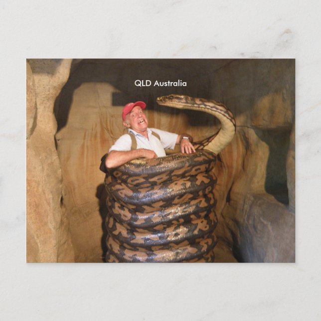 Tarjeta Postal Gran Serpiente QLD Australia Serpie (Anverso)