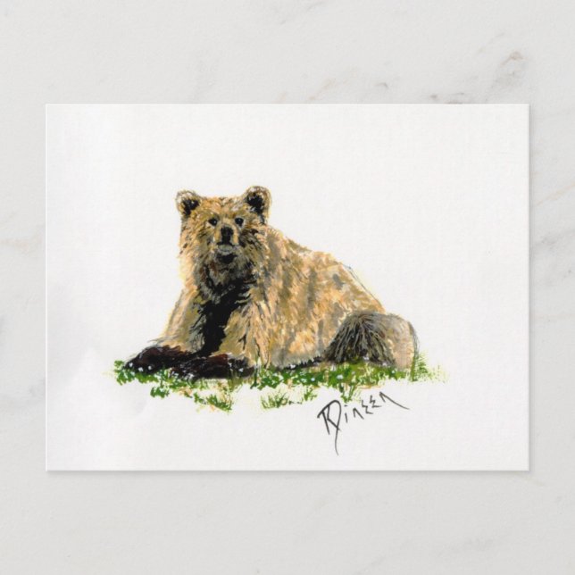 Tarjeta postal grizzly Bear (Anverso)