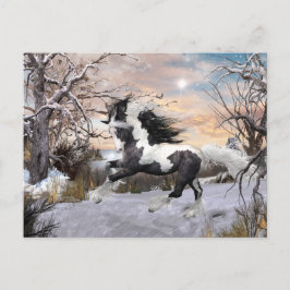 Tarjeta postal Gypsy Vanner
