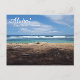 Tarjeta postal Hawaii Beach