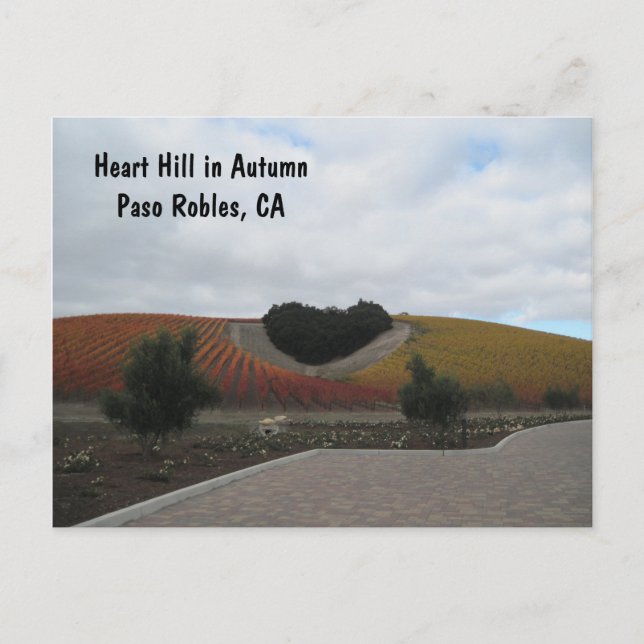 Tarjeta postal: Heart Hill en otoño, Paso Robles (Anverso)