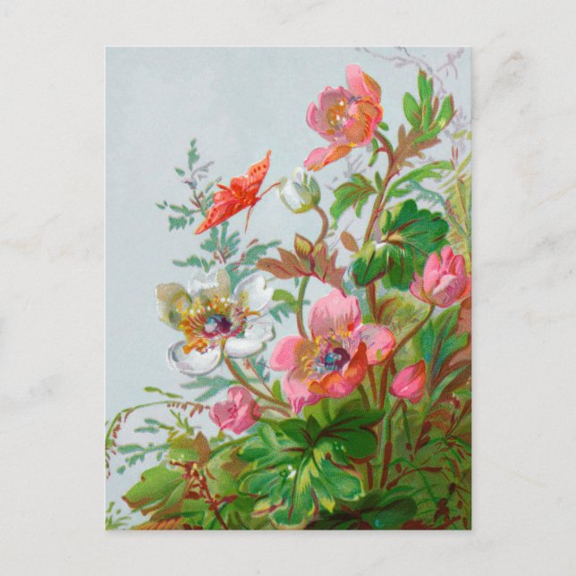 Tarjeta postal Hedgerow Garden (Anverso)