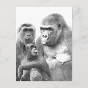 Tarjeta postal Hello_