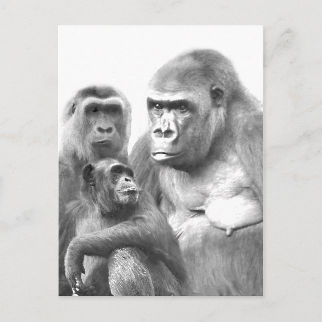 Tarjeta postal Hello_ (Anverso)