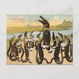 Tarjeta postal hilarante del coro de Gator de Flor