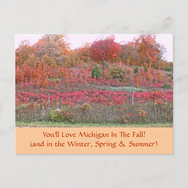 TARJETA POSTAL, "HILLSIDE ABLAZE CON COLOR" (MICHI (Anverso)