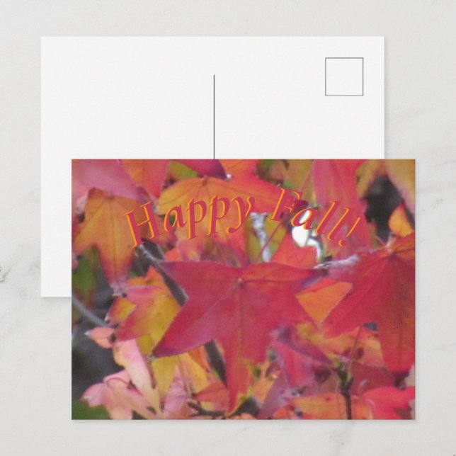 Tarjeta Postal - Hojas de Otoño (Anverso / Reverso)