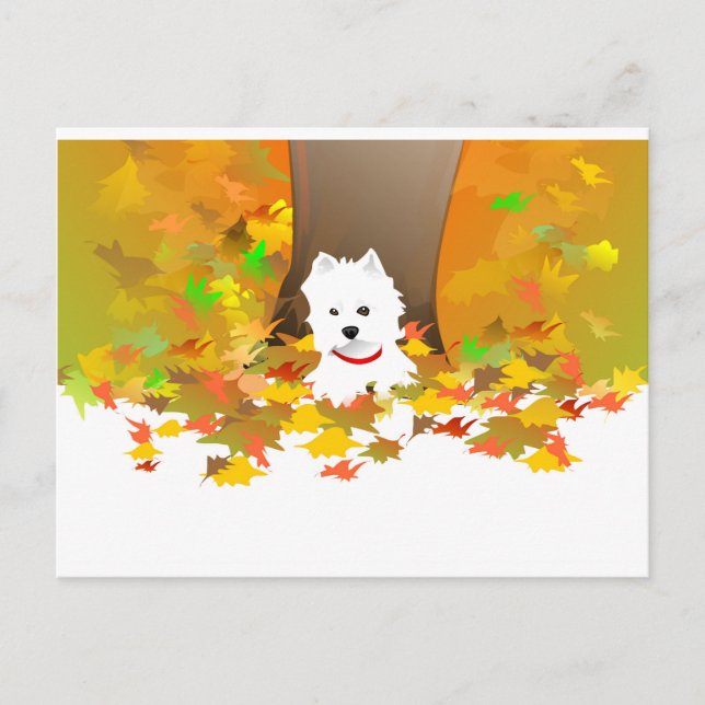 Tarjeta postal - Hojas otoñales occidentales (Anverso)