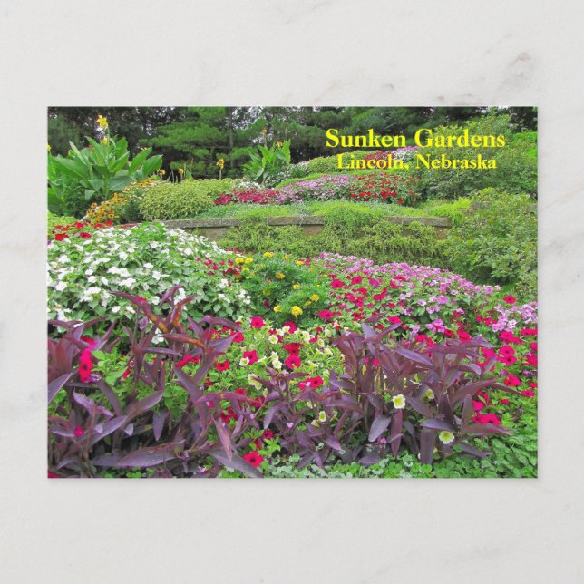 Tarjeta postal horizontal SG #170N 0170 (Anverso)