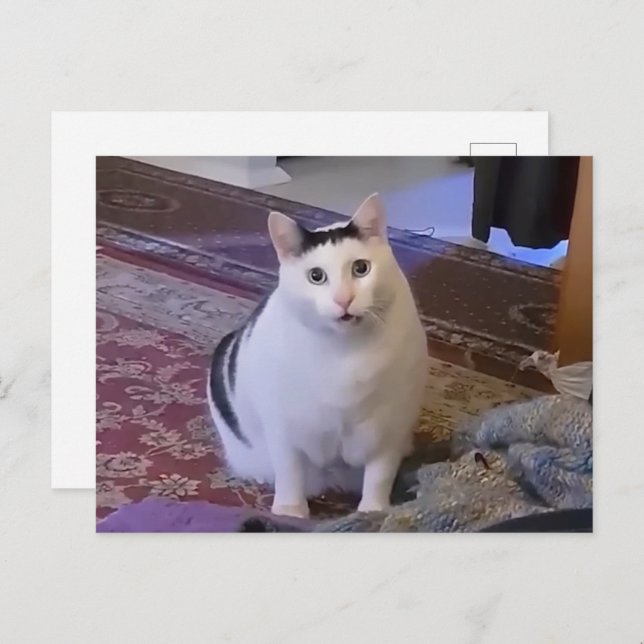 Tarjeta Postal Huh Cat Meme (Anverso / Reverso)