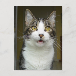 Tarjeta postal impactada de Syrus 0001