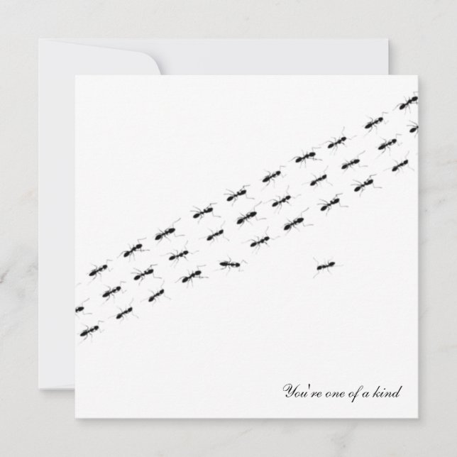 Tarjeta postal independiente de hormigas (Anverso)