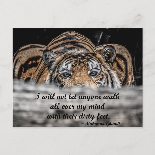 Tarjeta postal inspiradora del tigre de rebote (Anverso)