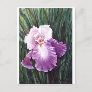 Tarjeta postal Iris