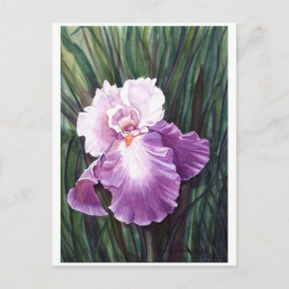 Tarjeta postal Iris