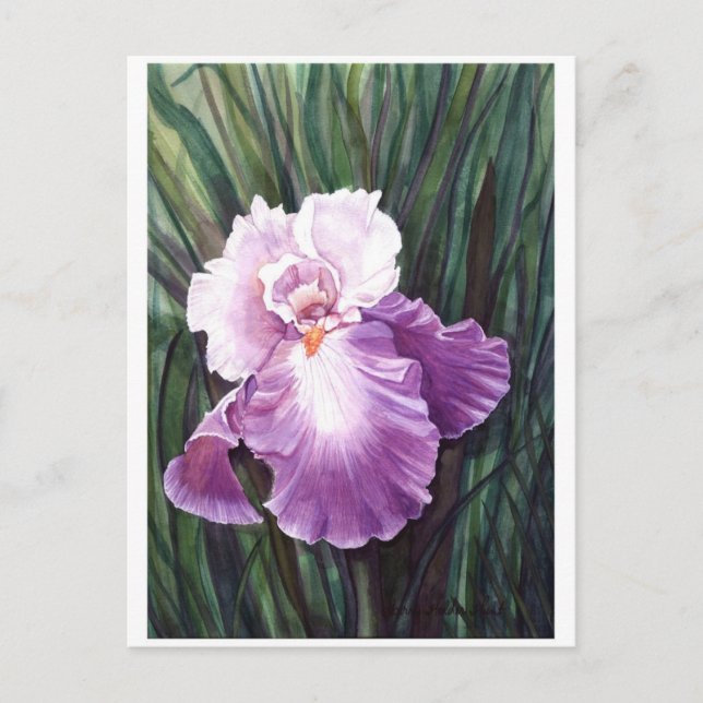 Tarjeta postal Iris (Anverso)