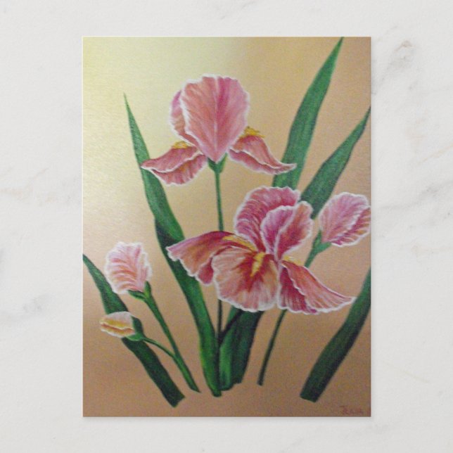 Tarjeta postal Iris (Anverso)