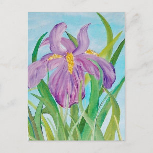 Tarjeta postal Iris