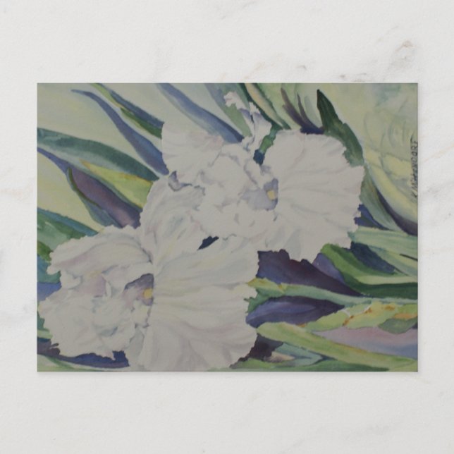 Tarjeta postal Iris (Anverso)