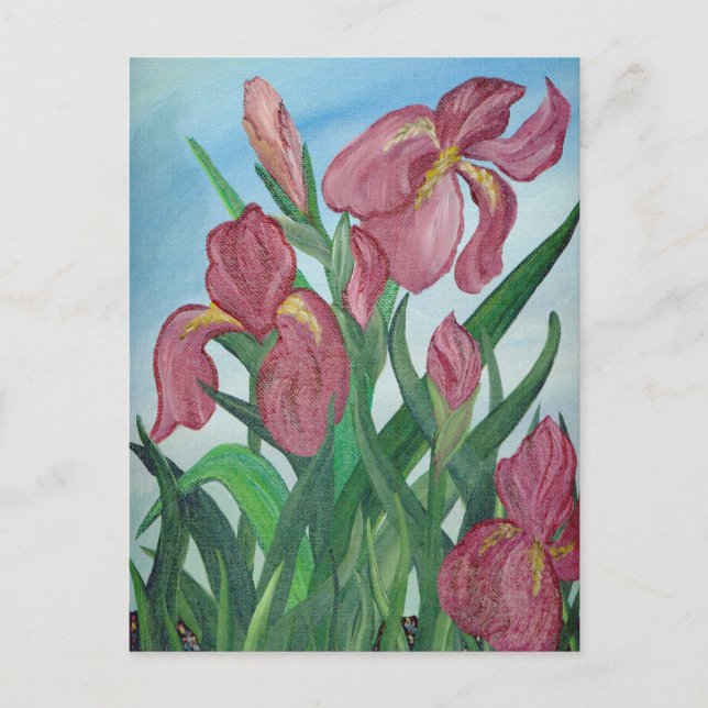 Tarjeta postal Iris (Anverso)