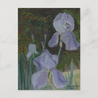 Tarjeta postal Iris con barba