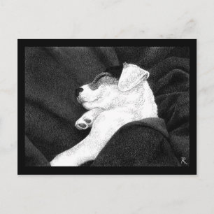 Tarjeta postal Jack Russell Terrier - "Bliss"
