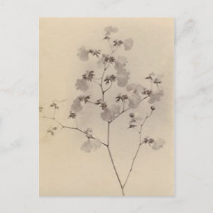 Tarjeta postal japonesa de flores de cerezo